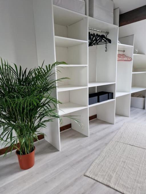 Grande Maison En Bords De Marne - 25 Min De Paris Créteil Extérieur photo